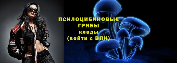 бошки Абаза