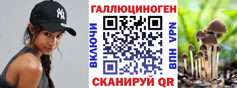 МЕГА онион  площадка официальный сайт  Галлюциногенные грибы Psilocybe  Алатырь 