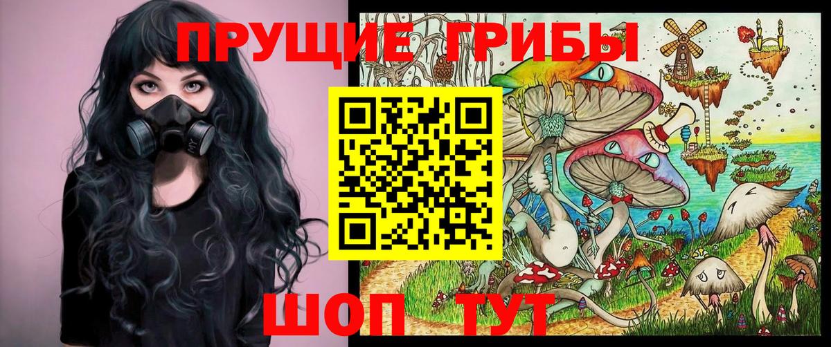 Алатырь  Псилоцибиновые грибы Psilocybine cubensis  Вход с VPN 