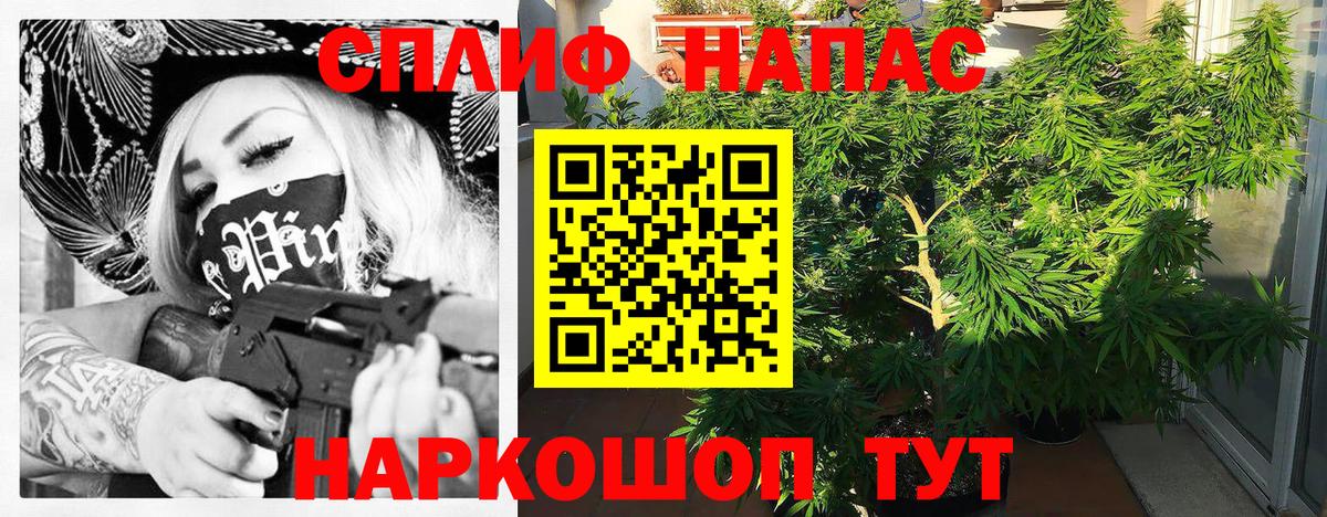МАРИХУАНА марихуана Алатырь